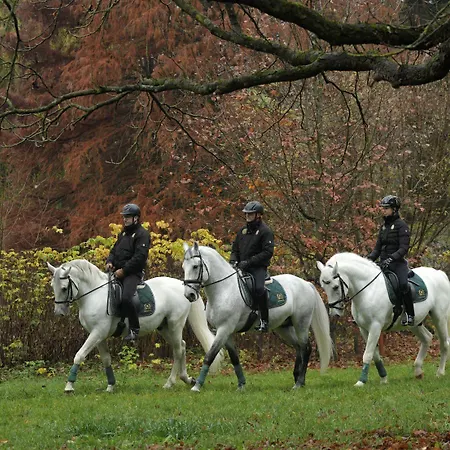 Panorama Apartment *