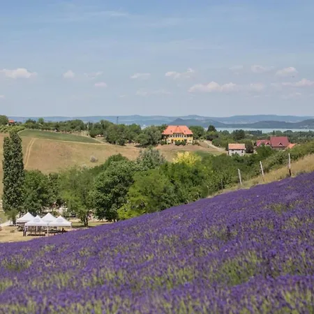 Panorama Apartment *