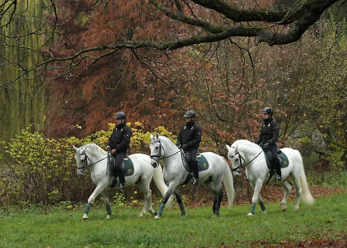 Panorama Appartement *