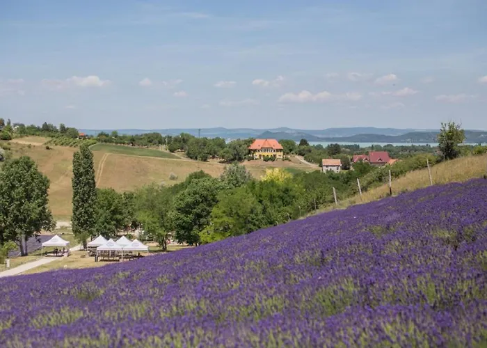 Panoráma Apartamento *